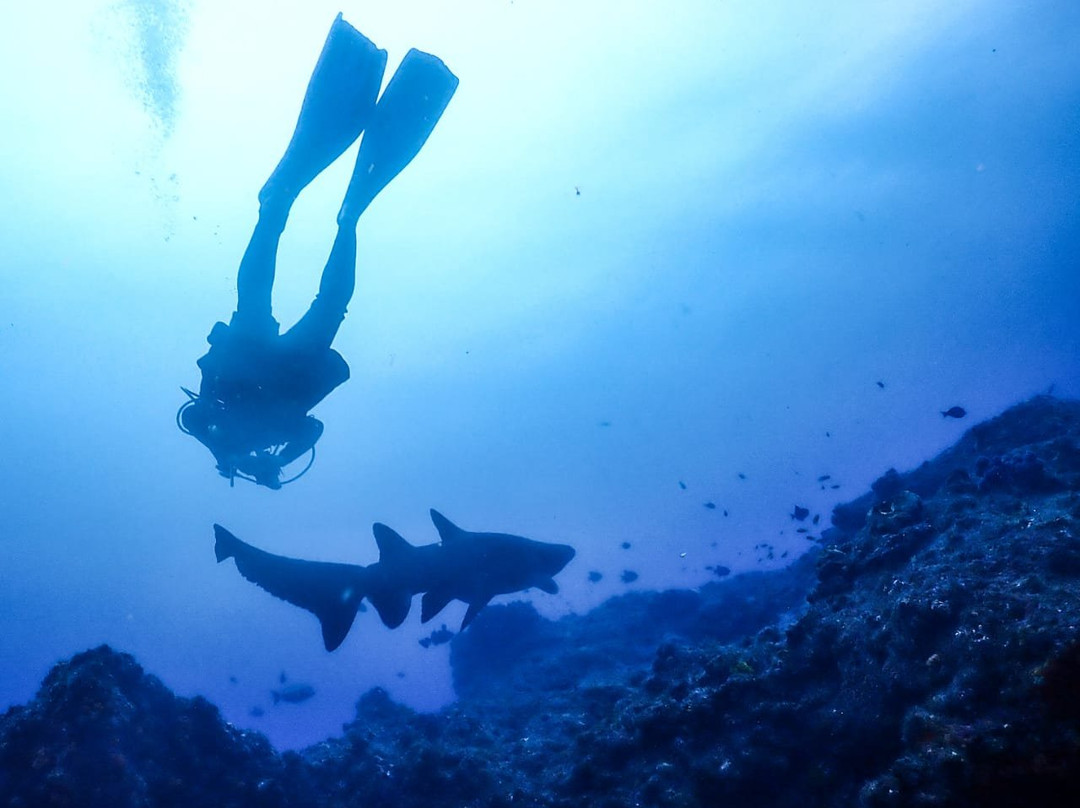 Scubaco Diving & Travel