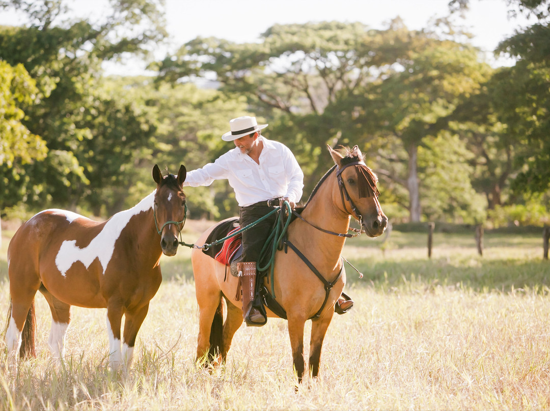 Casagua Horses Tours景点图片