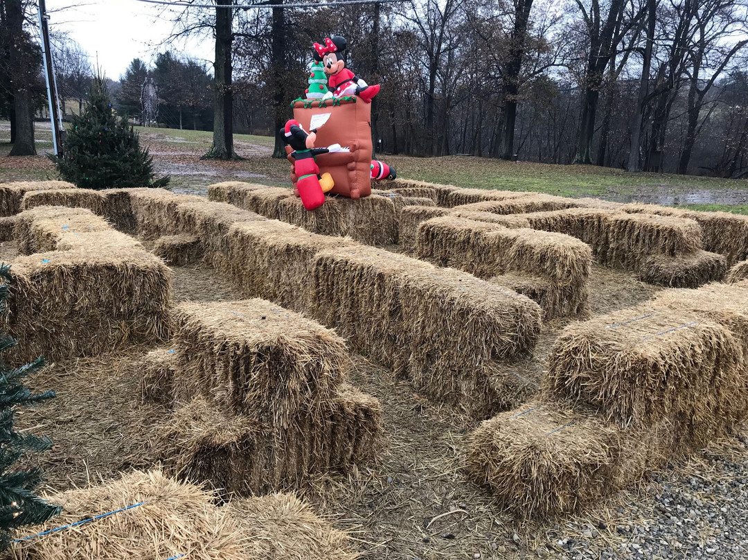 Oglebay Park Resort主图