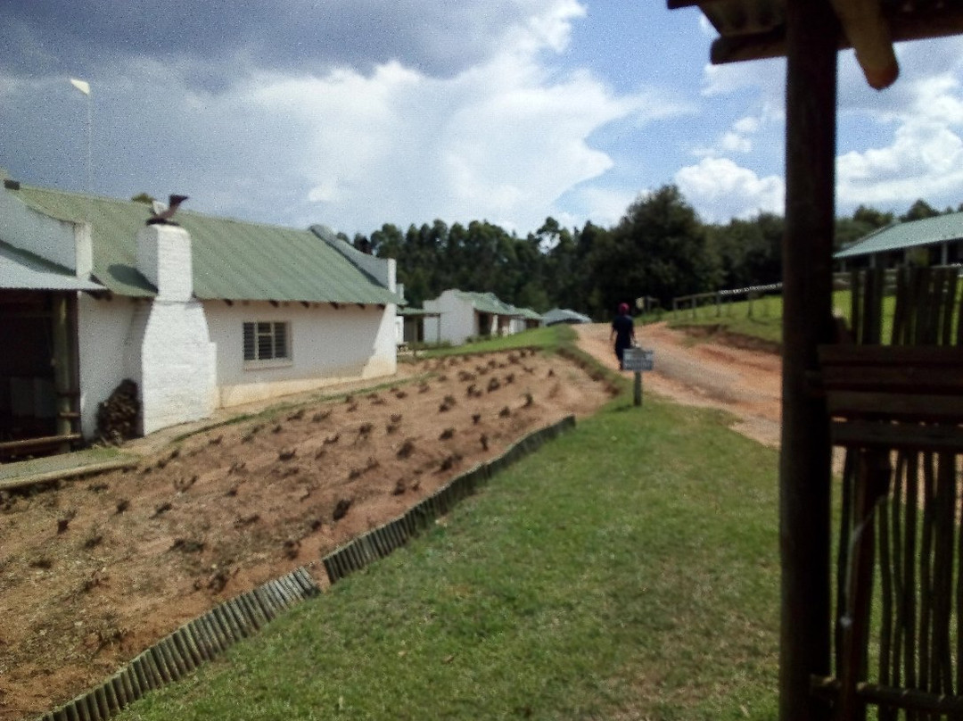 Africa Silks-赫拉斯科普必去景点