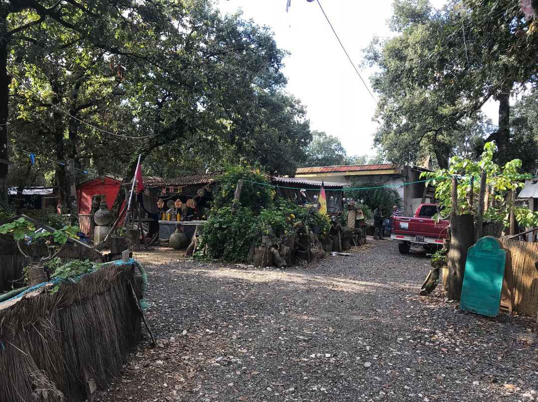 塔巴卡餐馆和美食-Club of Immigrants