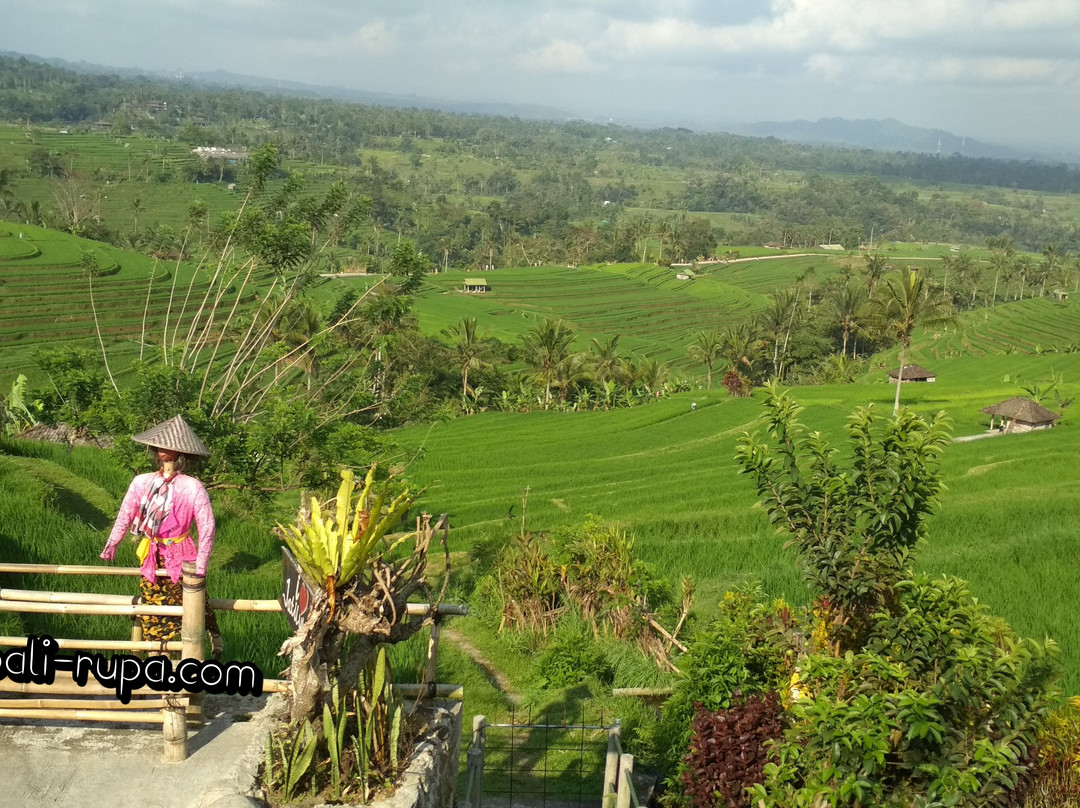 Bali Rupa景点图片