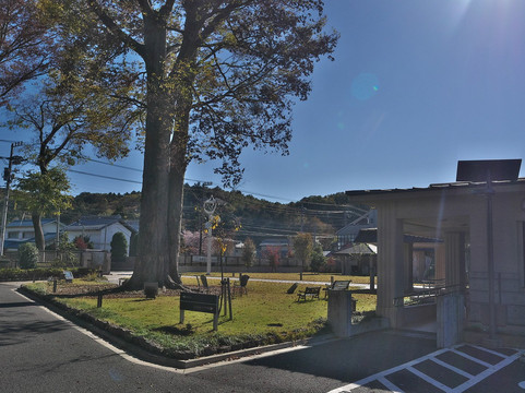 Mizuho-Cho, Local Museum, Keyakikan