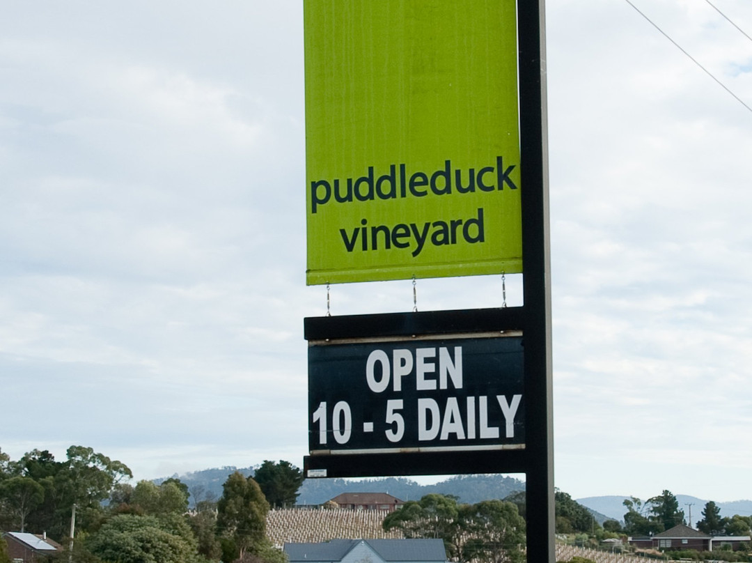 Puddleduck Vineyard景点图片