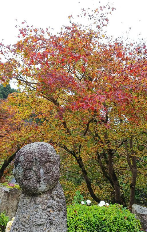 Choanji Temple-福知山市必去景点