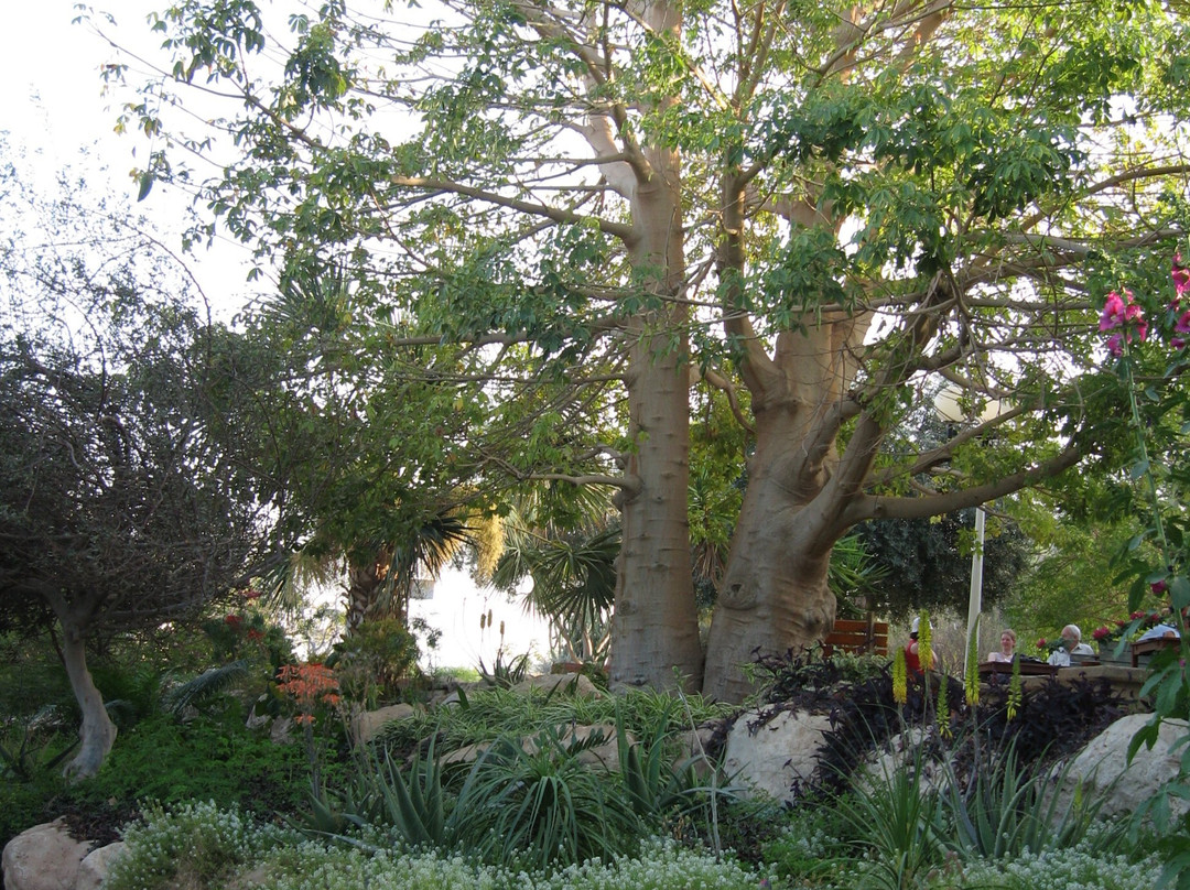 TASTE  of EIN-GEDI-恩戈地必去景点