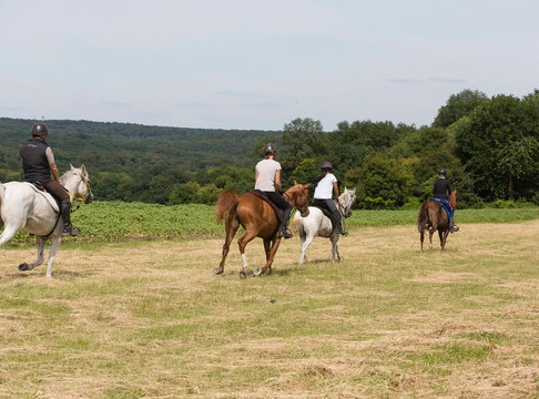 Écuries ALF-Chamant必去景点
