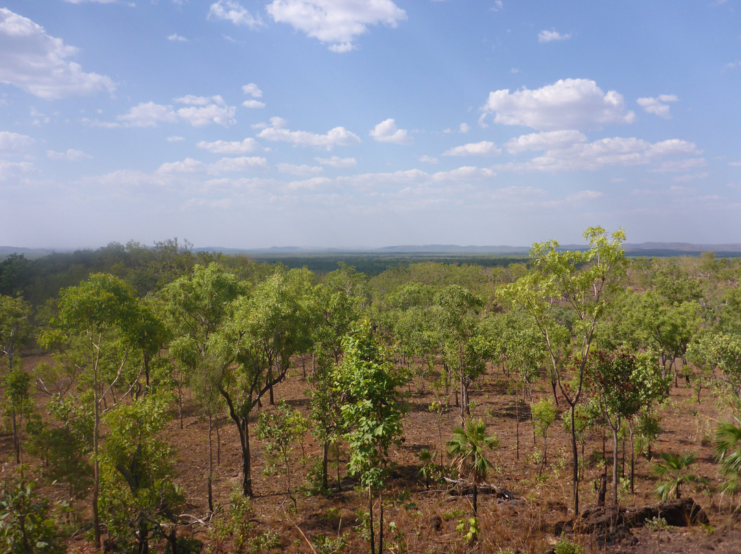 Bukbukluk Lookout景点图片