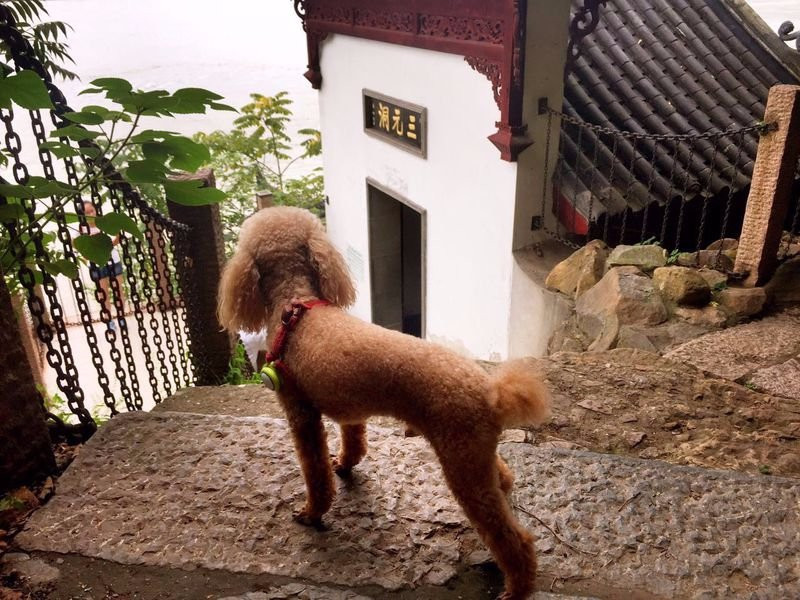 采石矶风景区-马鞍山市必去景点