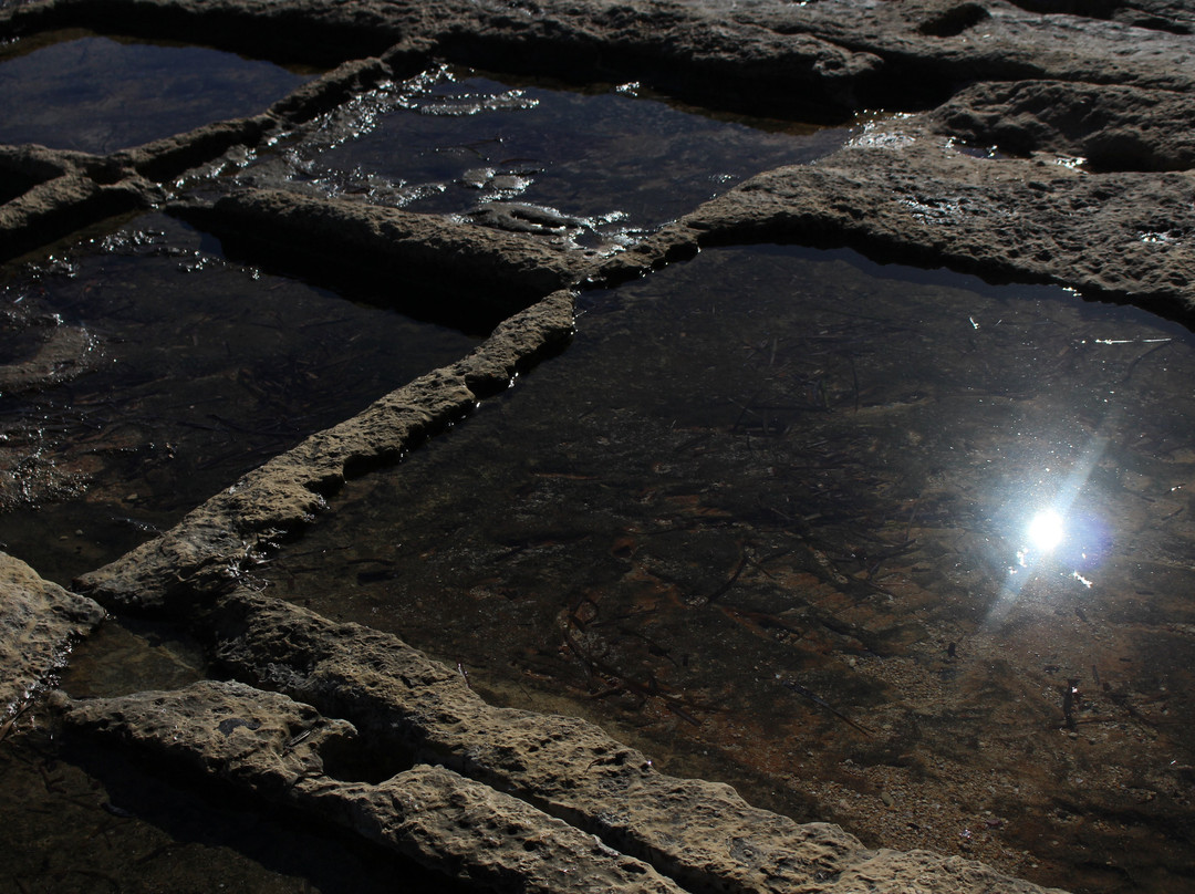 Marsascala旅游景点-Zonqor Point Salt Pans