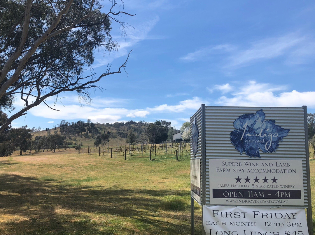 Indigo Vineyard-比奇沃思必去景点