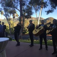 Bellafonte Resort主图