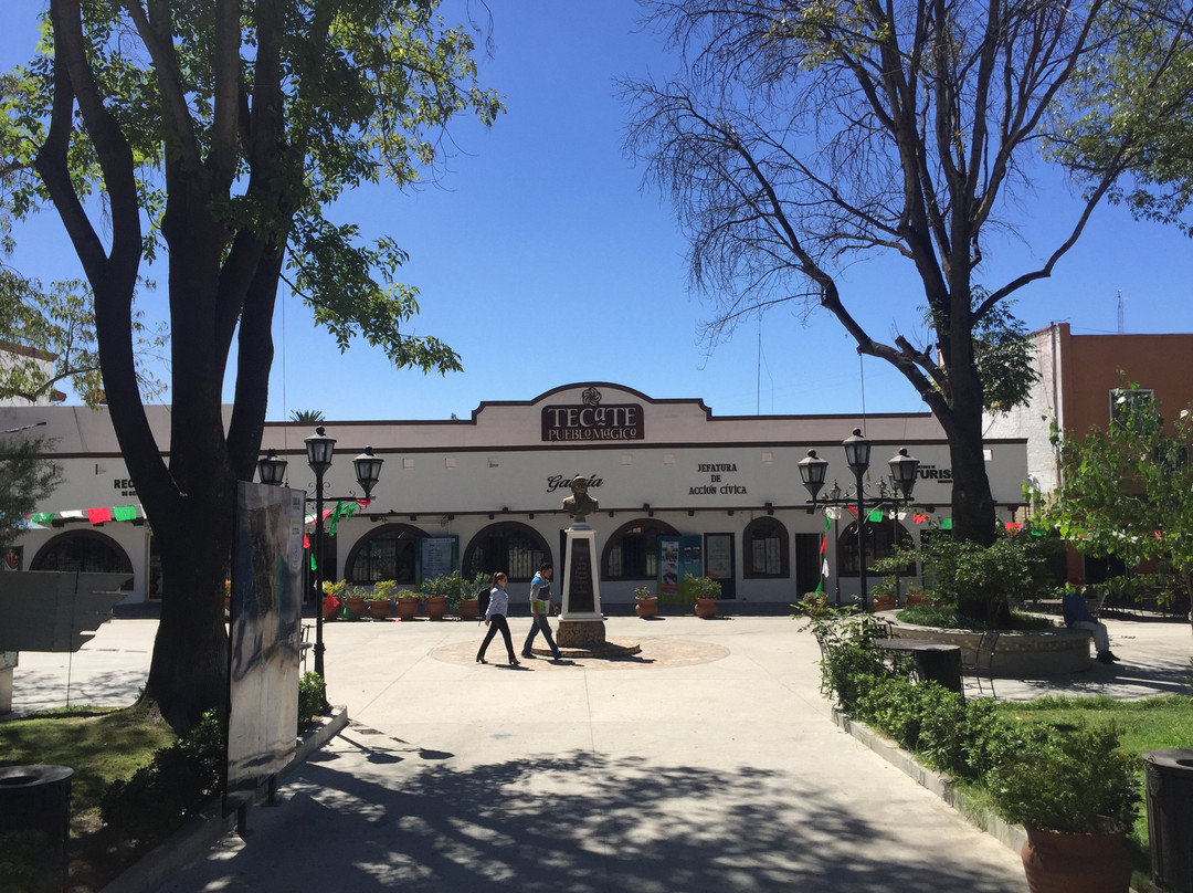 Parque Miguel Hidalgo-Tecate必去景点