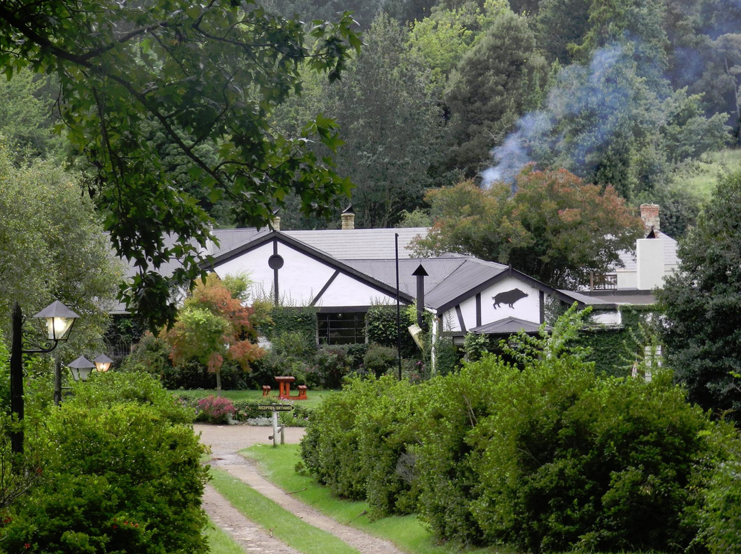 Alice酒店住宿-The Historic Hogsback Inn