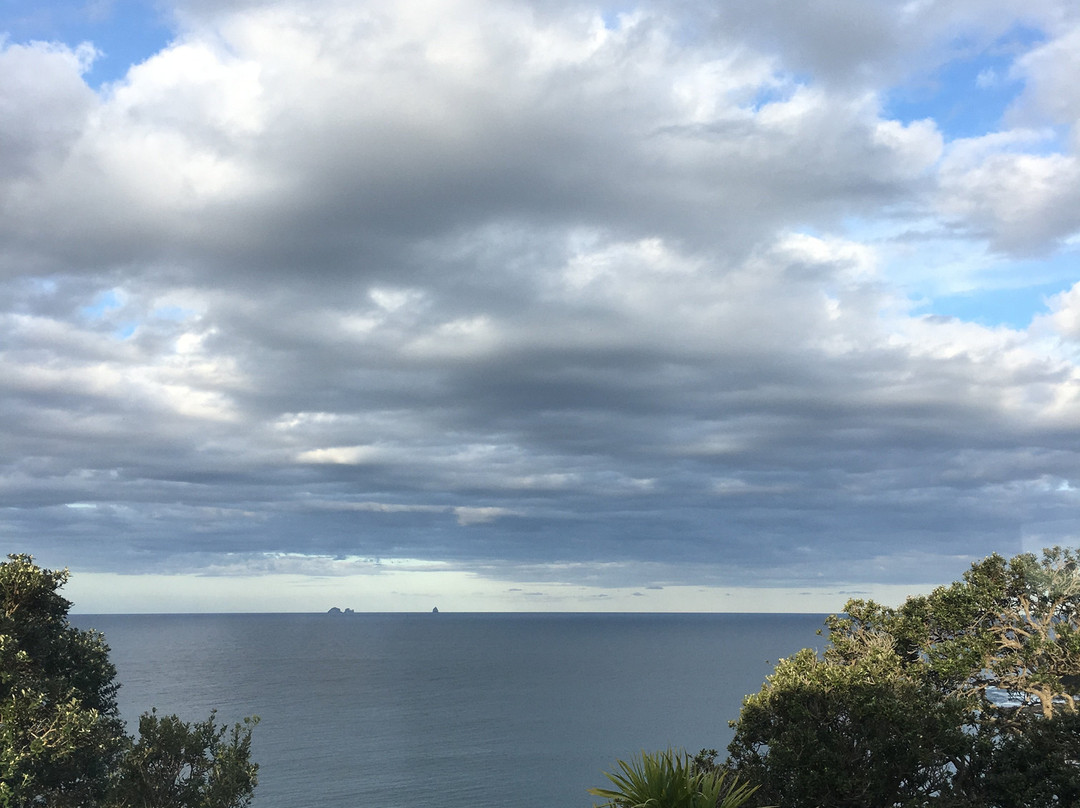 The Light House Lookout主图