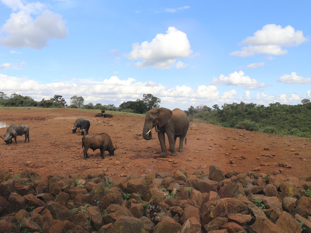 方舟山林小屋主图