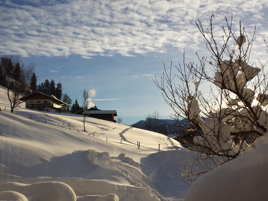 Hotel Hindenburglinde主图