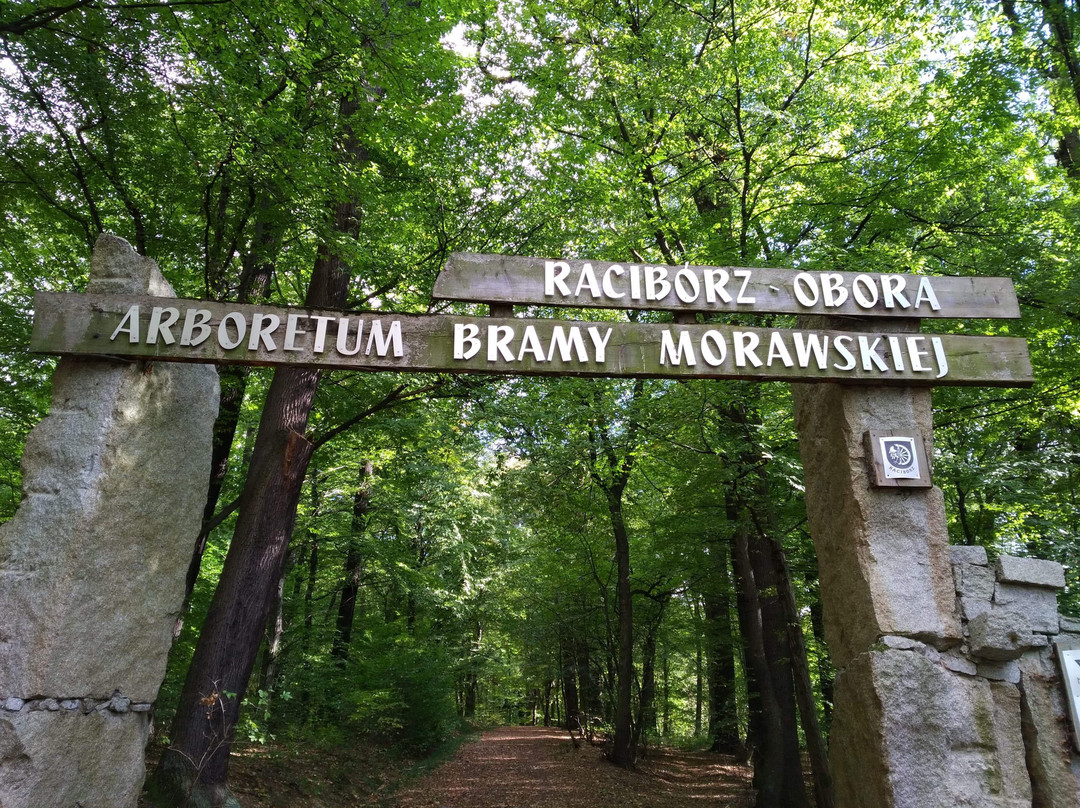 Aboretum Bramy Morawskiej景点图片
