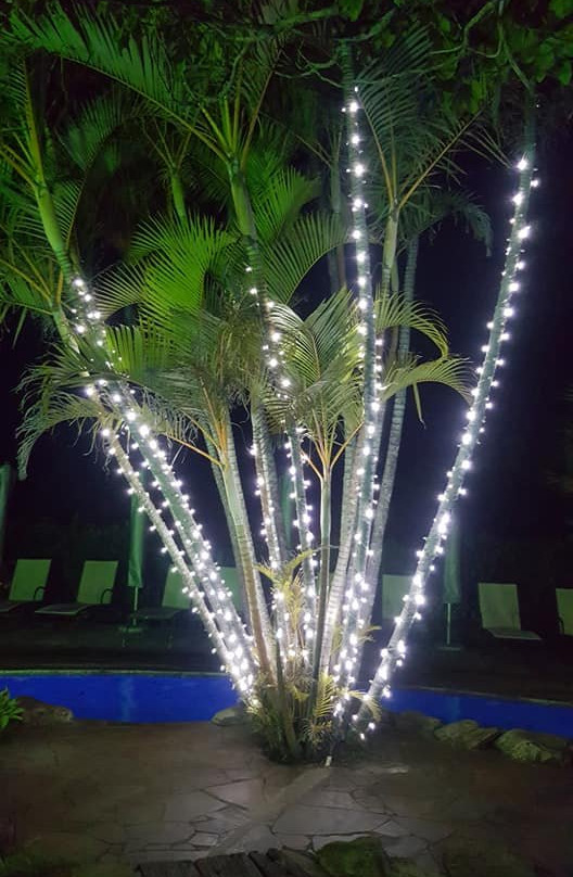 Trennerys Hotel主图