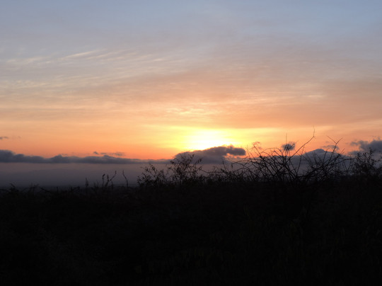 Lewa Wilderness主图