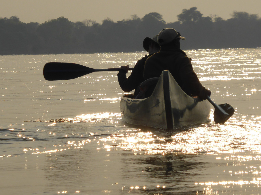 Lower Zambezi National Park景点图片