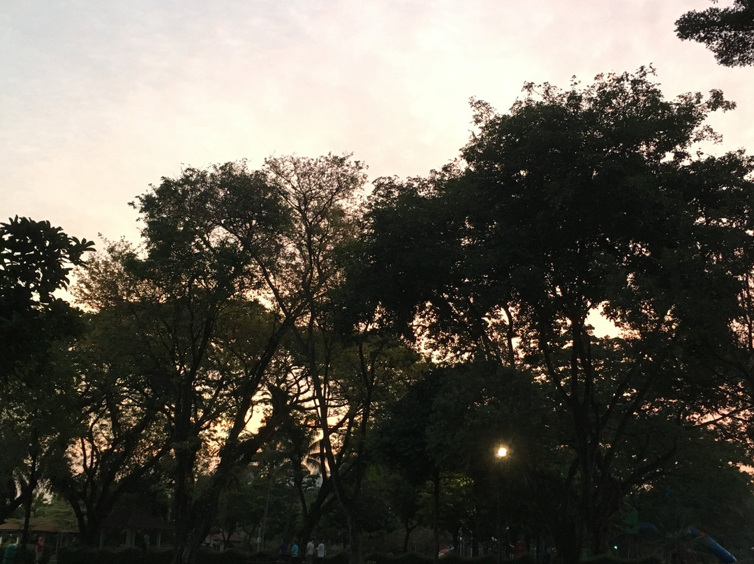 Tasik Taman Jaya-八打灵再也必去景点