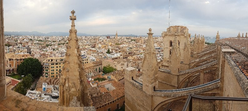 Terrazas de la Catedral de Palma景点图片