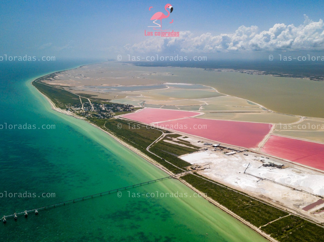 Las Coloradas Tours-普拉亚德尔卡曼必去景点