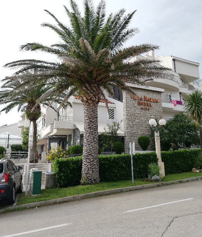 Hotel Villa Marija主图