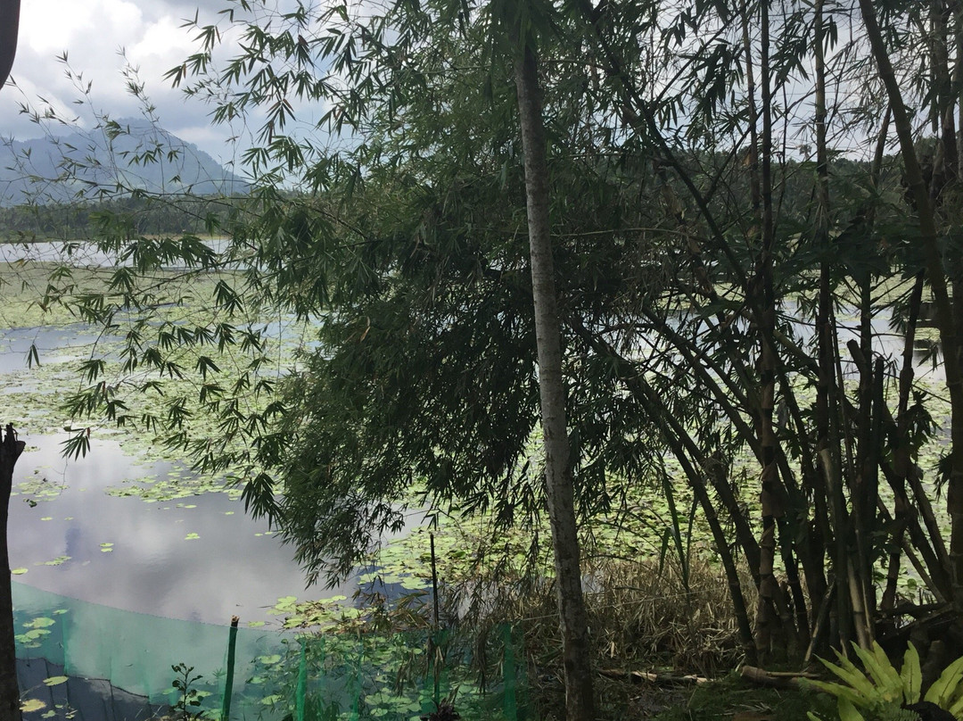 Marayag Lake景点图片