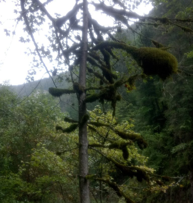 Pestera Poarta lui Ionele景点图片