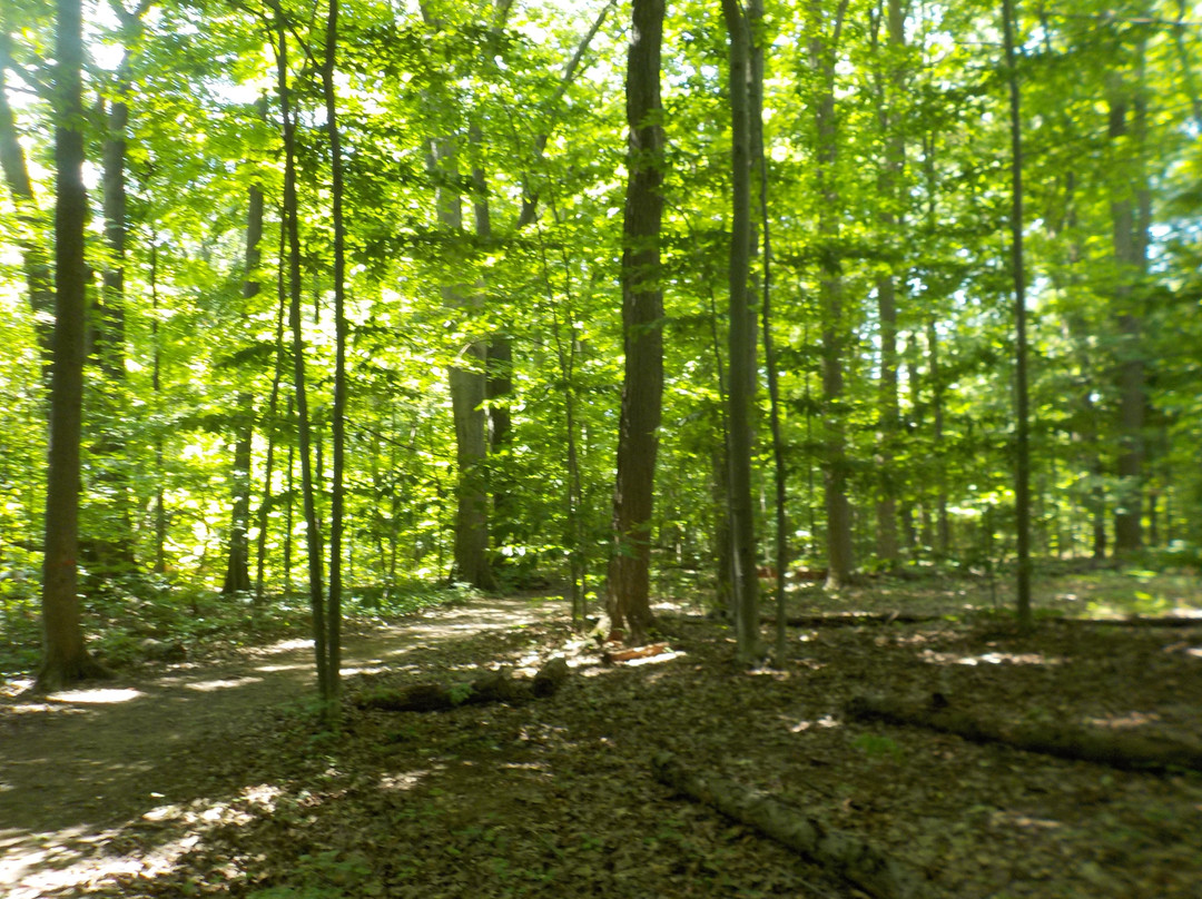 Royalton Ravine Park-Gasport必去景点