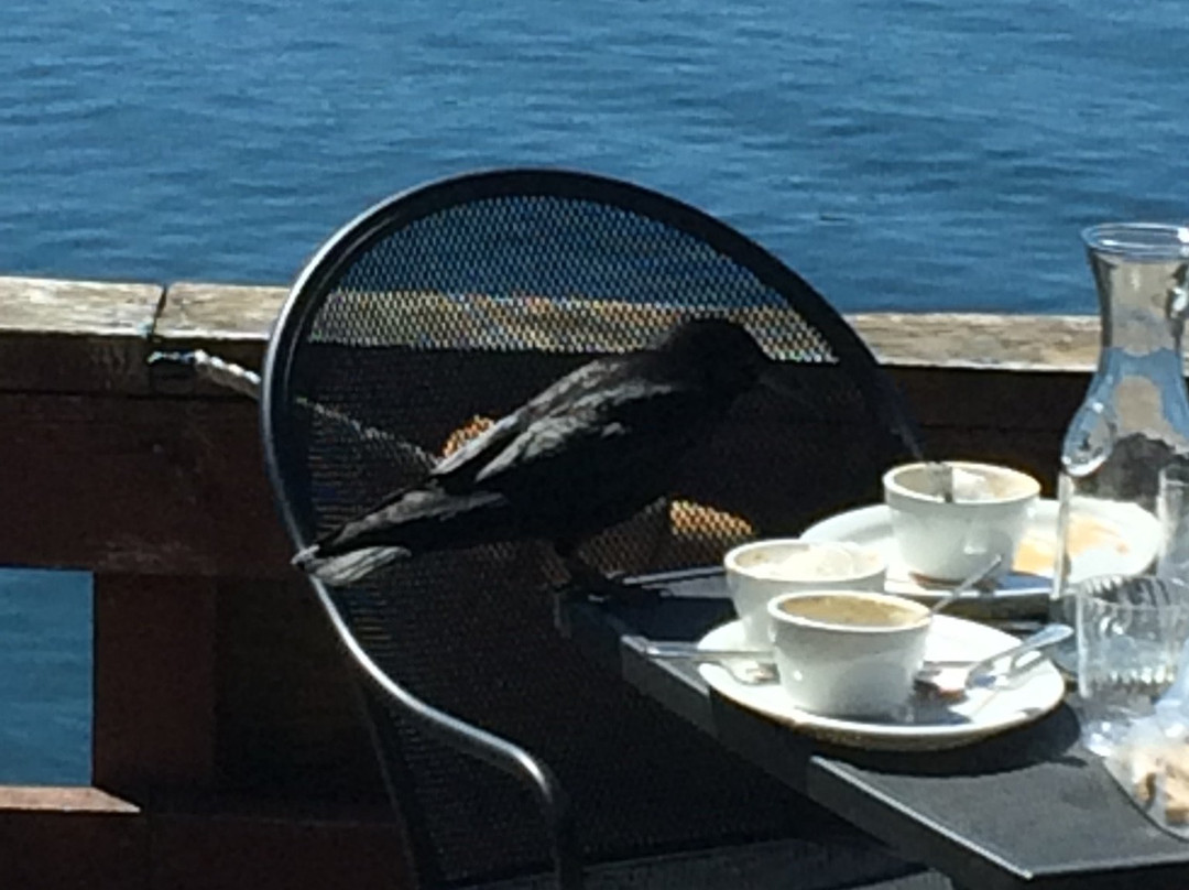 Seldovia Boardwalk Hotel主图