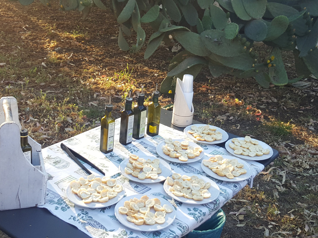 Masseria Brancati主图