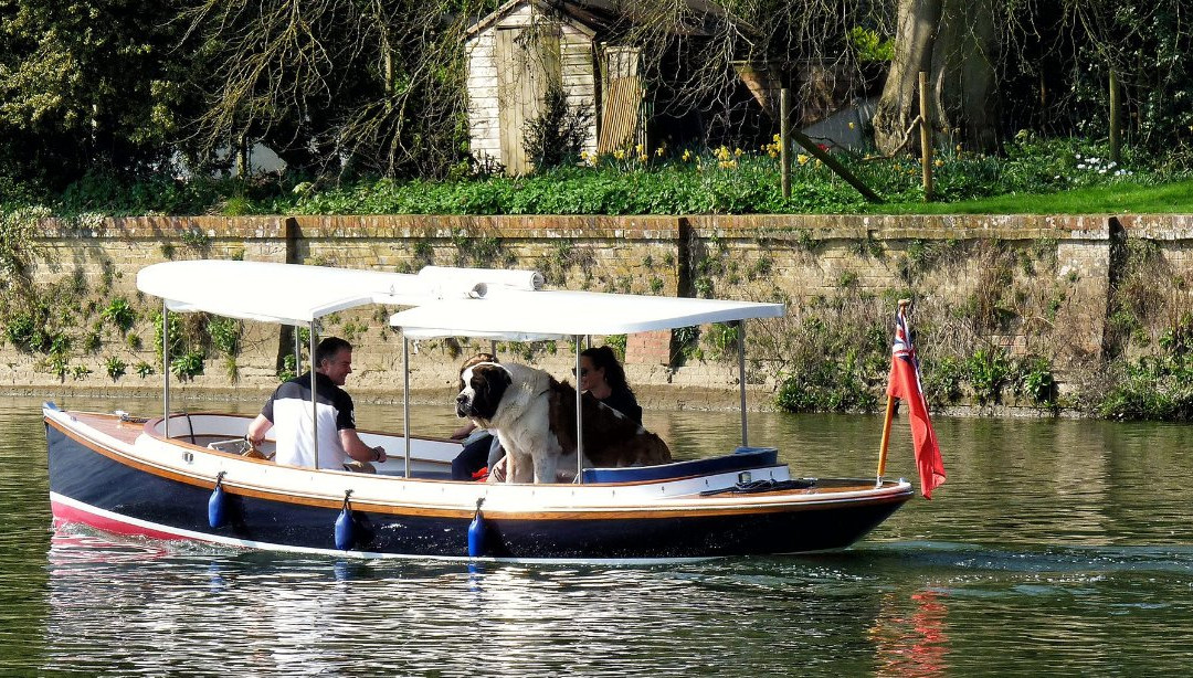 Pure Boating景点图片