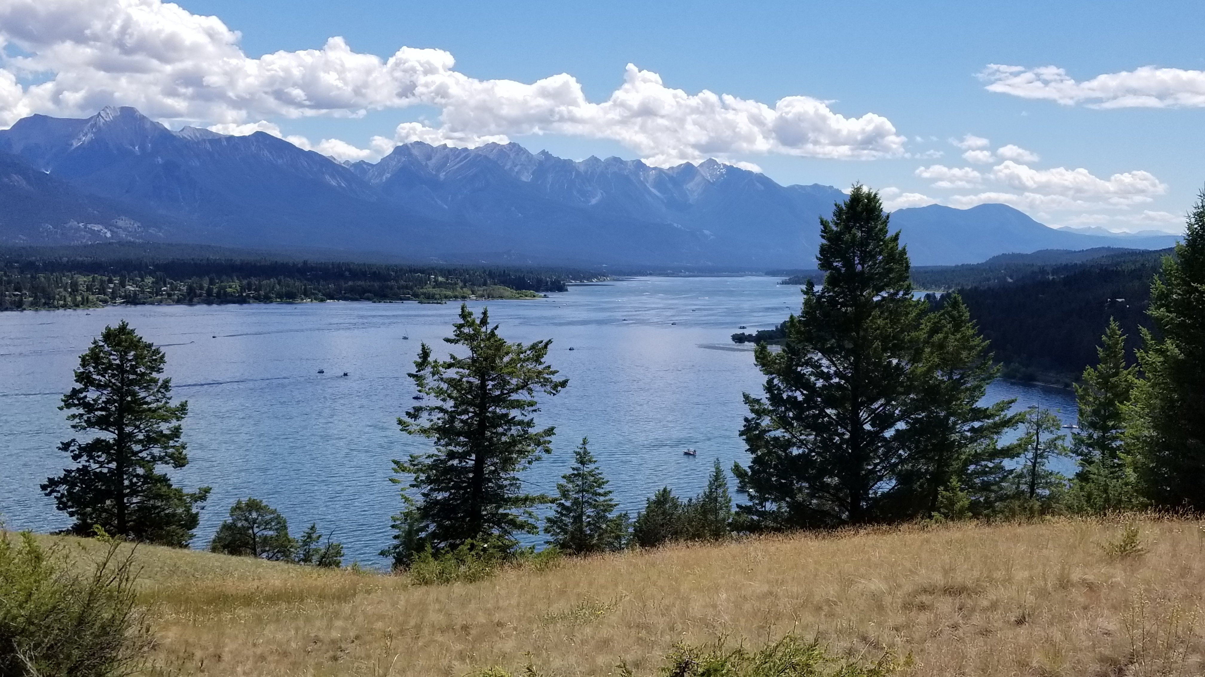 Celadon Lodge-泳池
