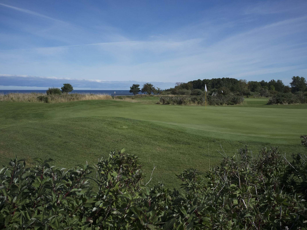 Manistee Golf & Country Club景点图片