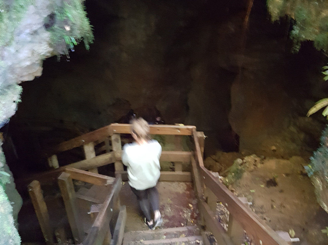 Piripiri Cave Walk-怀托摩洞穴必去景点