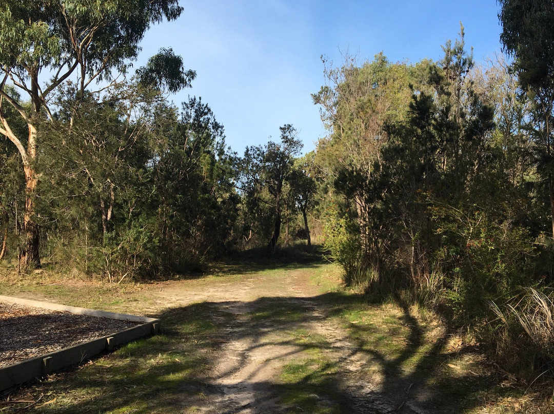 Fairbairn Bushland Reserve景点图片