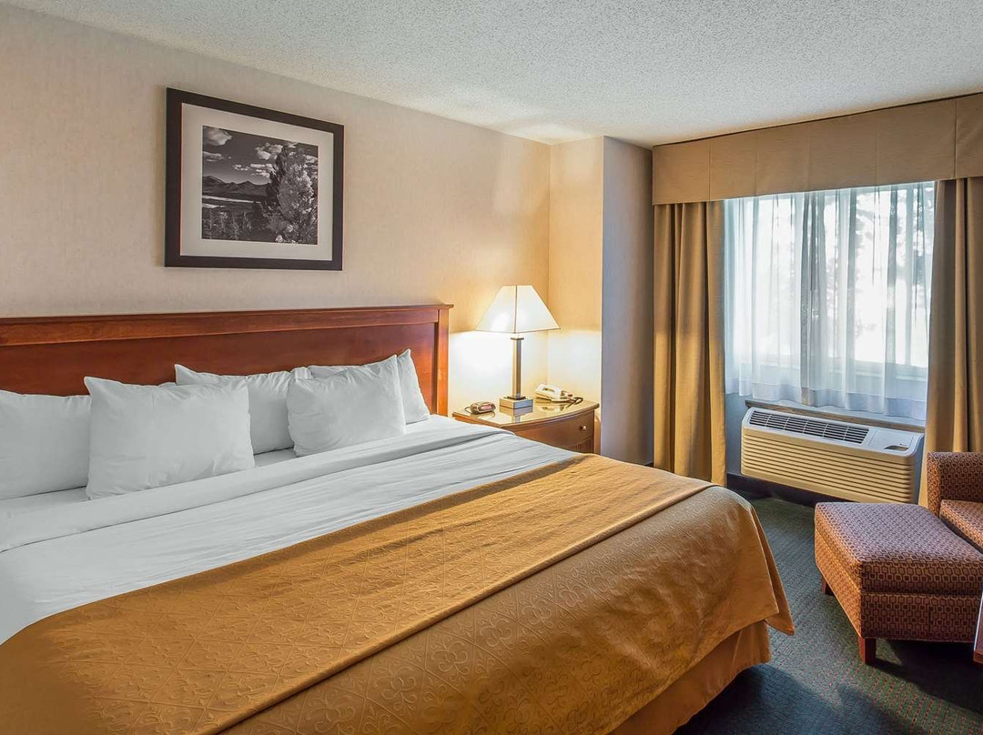 品质酒店及套房 斯廷博特斯普林斯主图