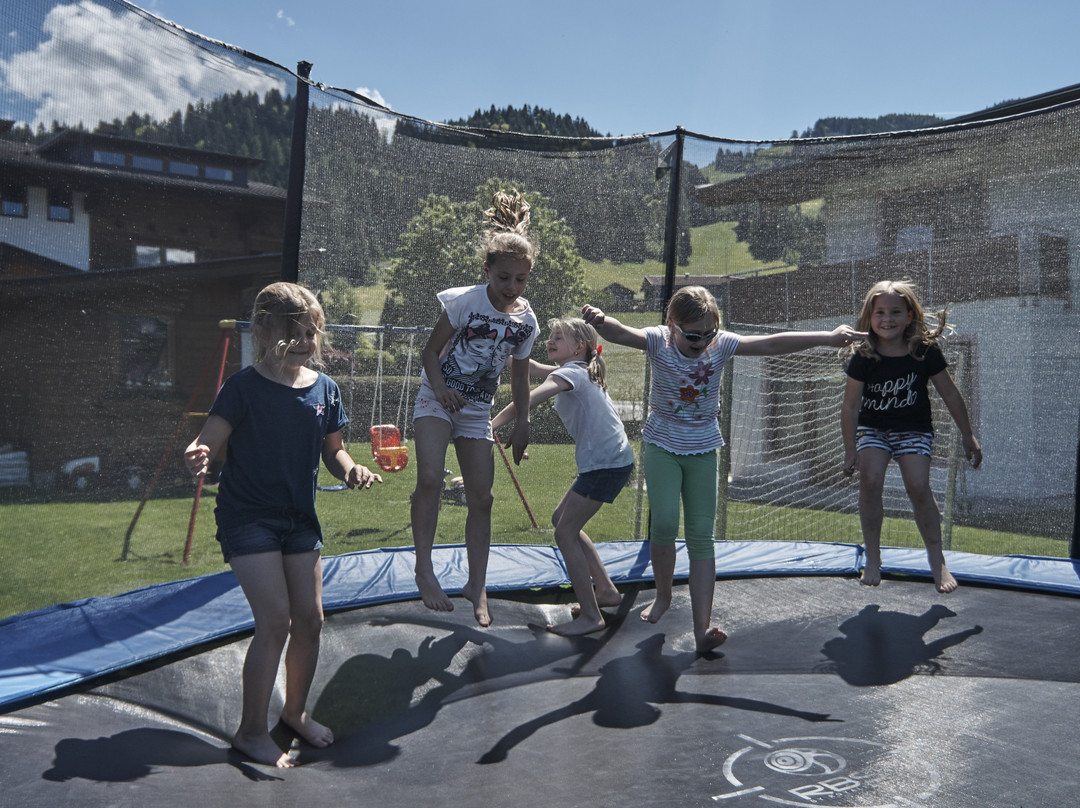 Pension Alpina主图