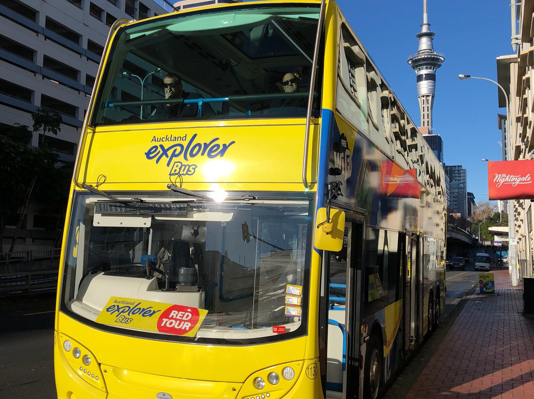 Auckland Explorer Bus景点图片