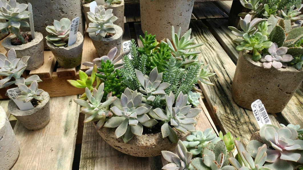 The Barn Nursery-查塔努加必去景点