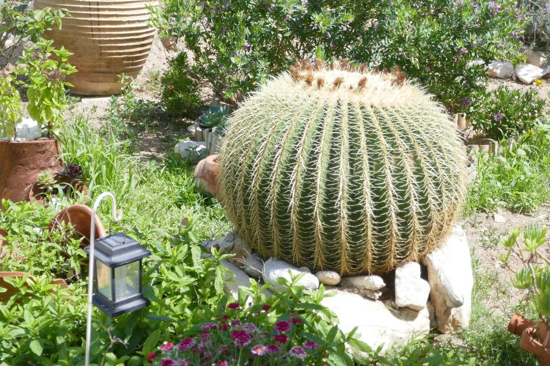 Stavros Studios主图