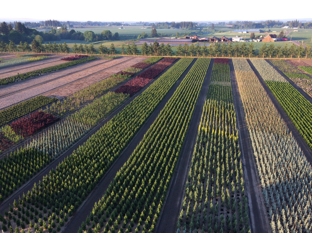 Willamette Valley Balloons-Donald必去景点