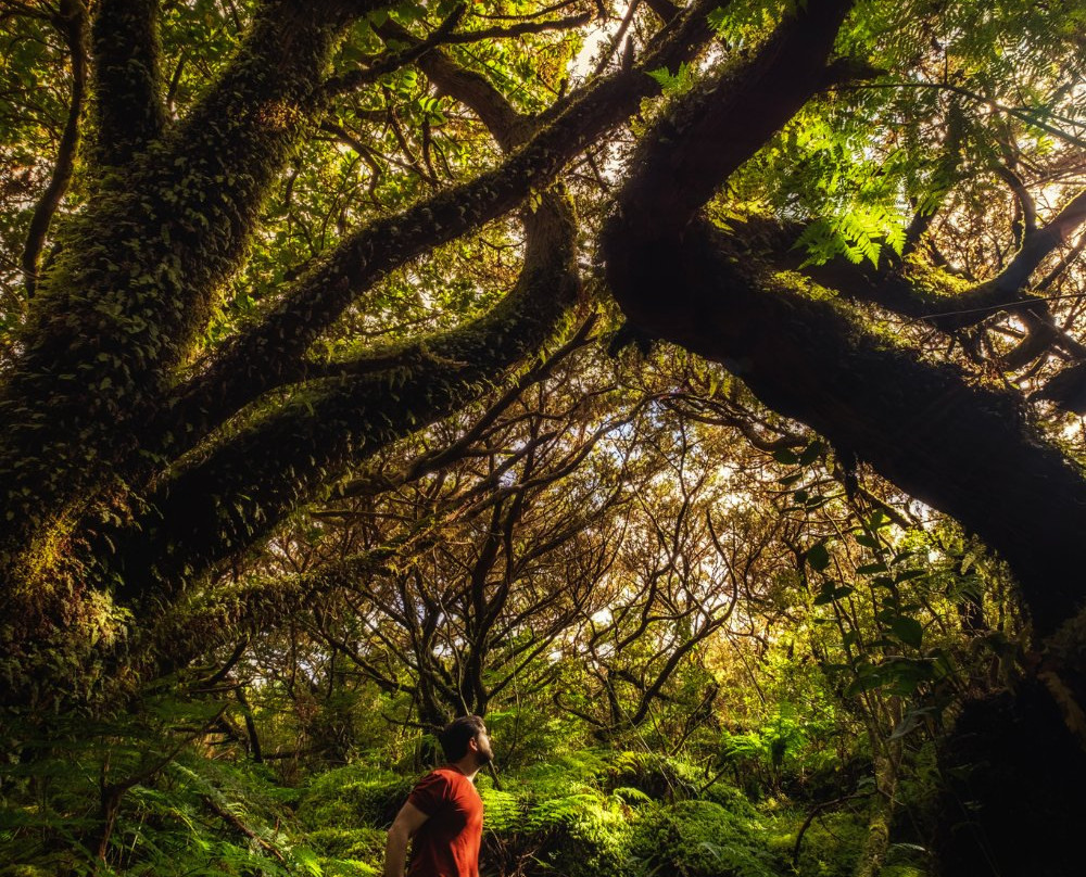 Discover Azores-Praia da Vitória必去景点