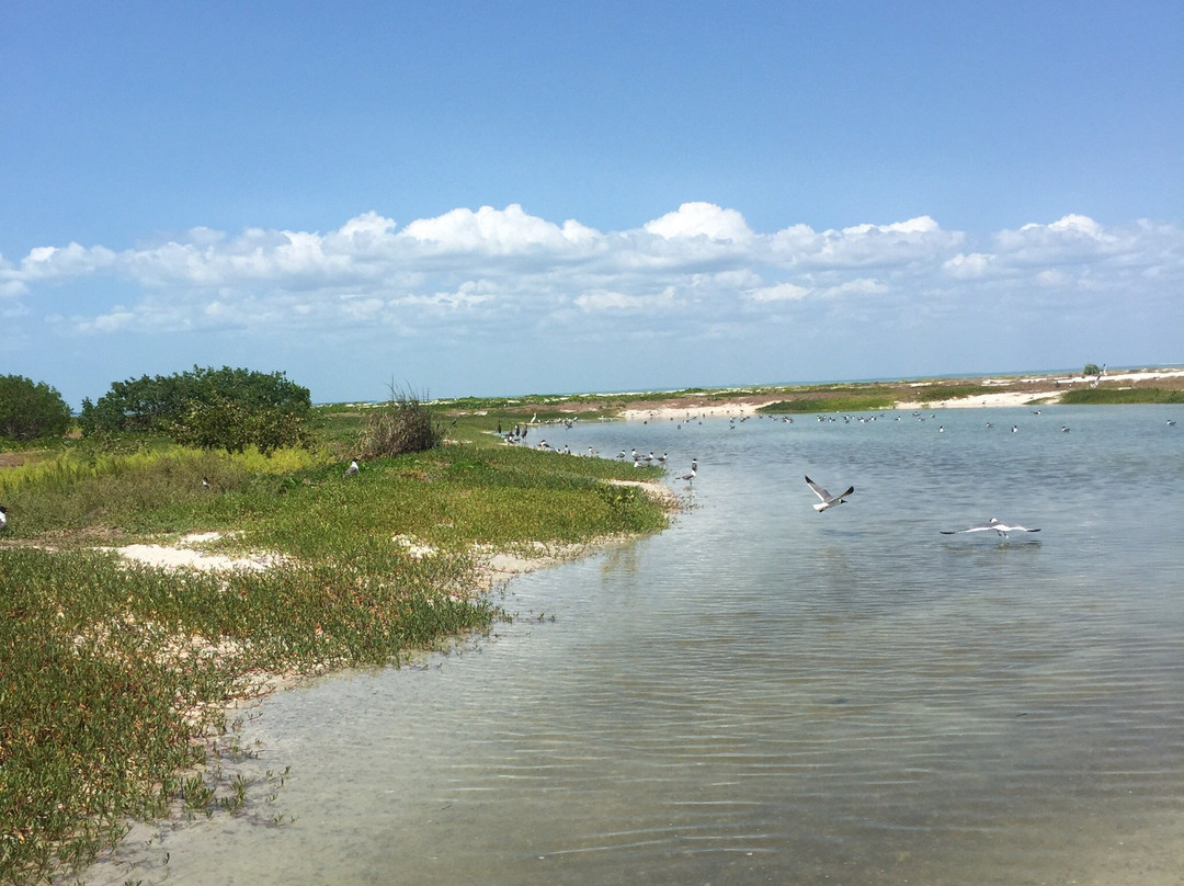 Agencia Palo de Tinte y Servicios-卡门城必去景点