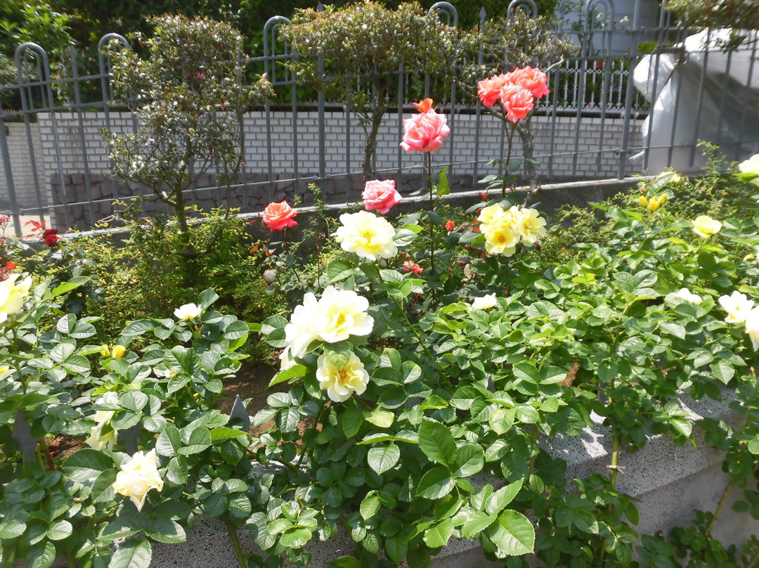 Yamate Italian Garden景点图片