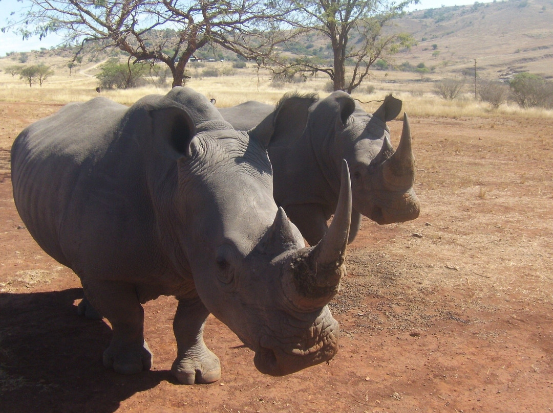 Koubad Farm Lodge主图