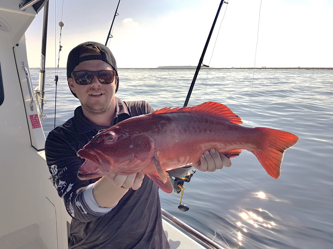 Reef Fish & Dive 1770-Agnes Water必去景点